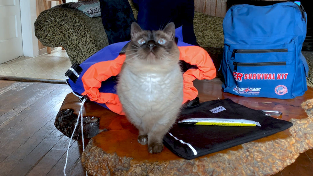 Handling emergencies with your pets