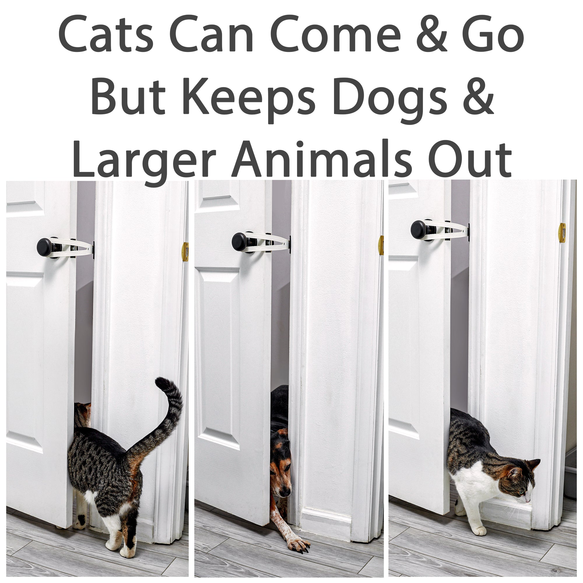 Bright White FlexLatch™ Cat Door Holder