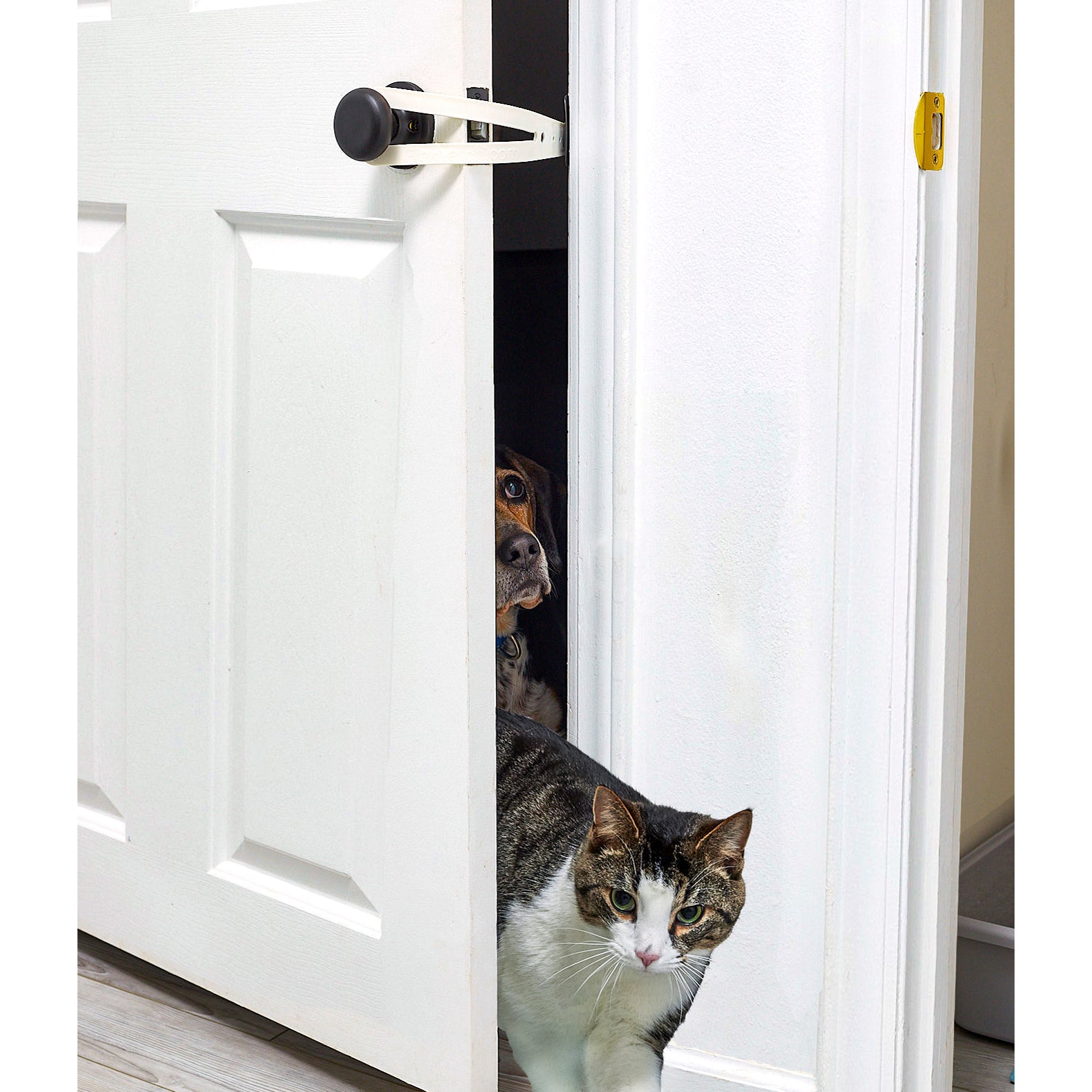 2pcs Katzentürhalter Riegel, Flex Latch Katze Türstopper mit verstellbarem  Riemen, Katzentür Alternative, um Hunde draußen zu halten