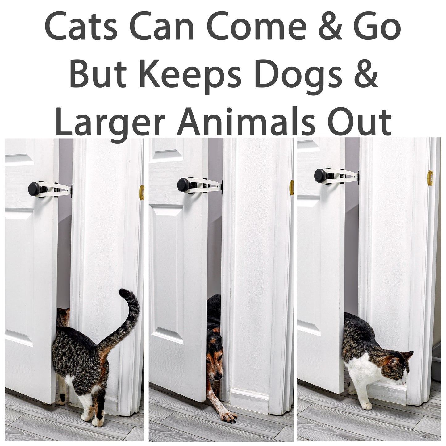 Ultimate Gray FlexLatch™ Cat Door Holder